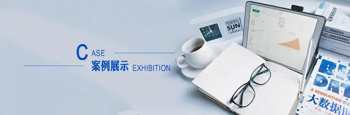 黄岛区软件开发